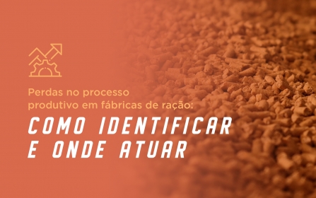 Vídeo - Perdas no Processo Produtivo em Fábricas de Ração: Como Identificar e Onde Atuar