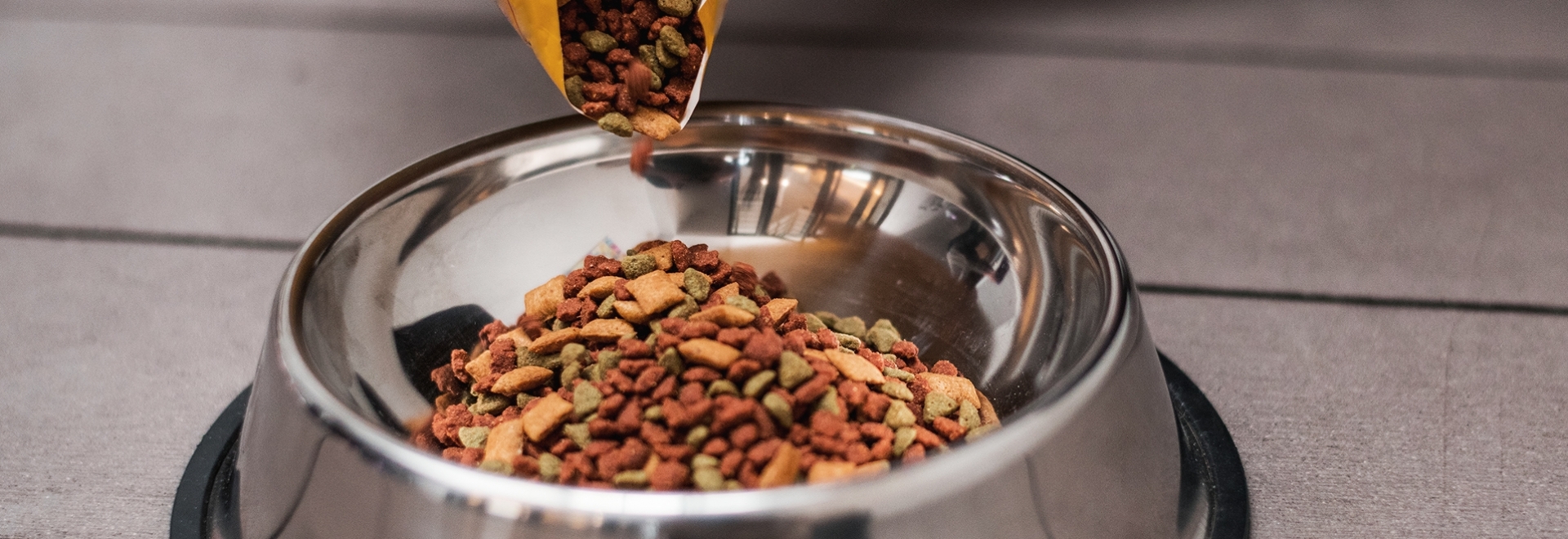O papel dos nutrientes na ração para cães e por que usar antioxidantes na sua conservação