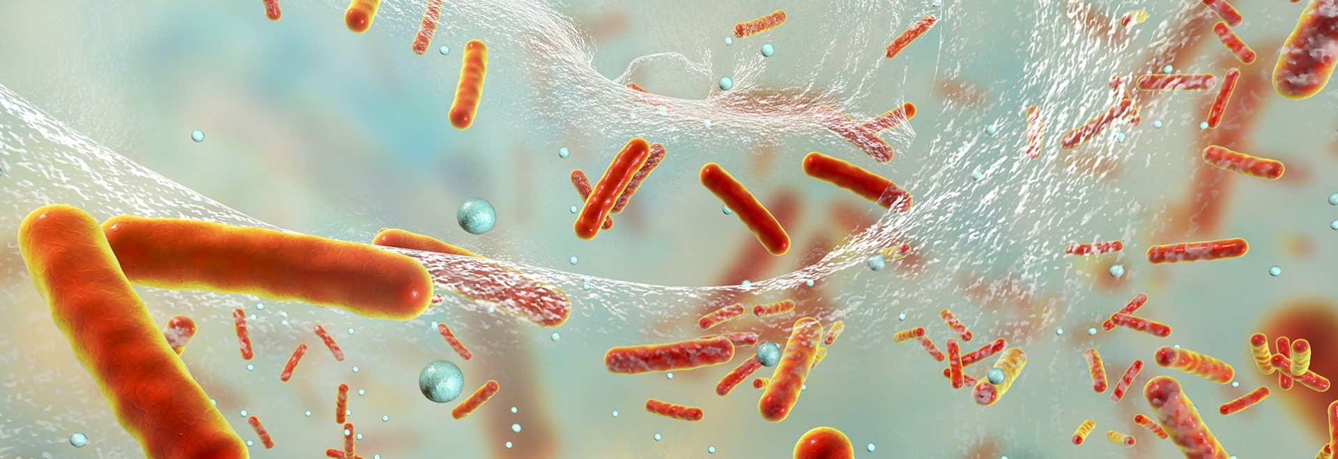 Como os biofilmes bacterianos impactam na indústria de alimentos 