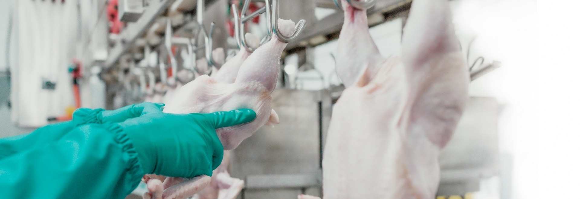 Os desafios dos processos de higienização nas indústrias alimentícias