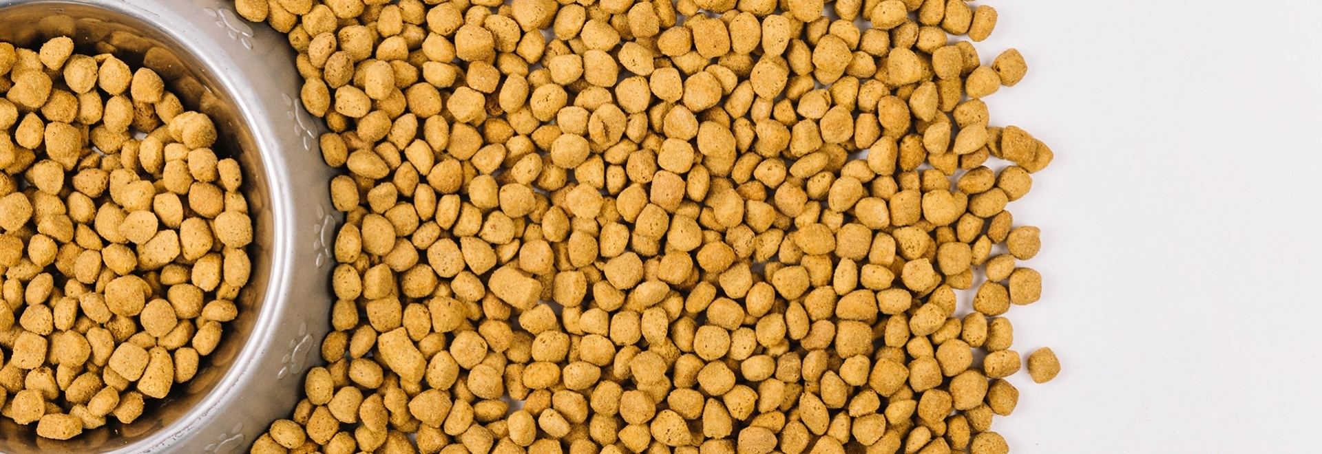A importância dos antifúngicos para a ração pet