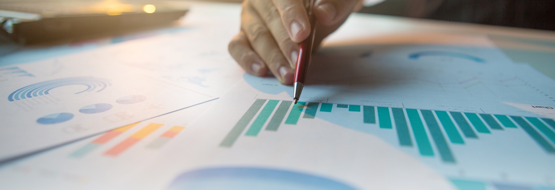 Mercado e custos de produtos para a alimentação de animais de estimação e produção