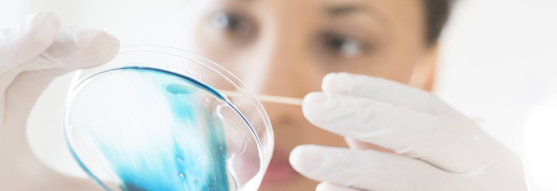 Métodos para identificação de biofilmes na indústria alimentícia