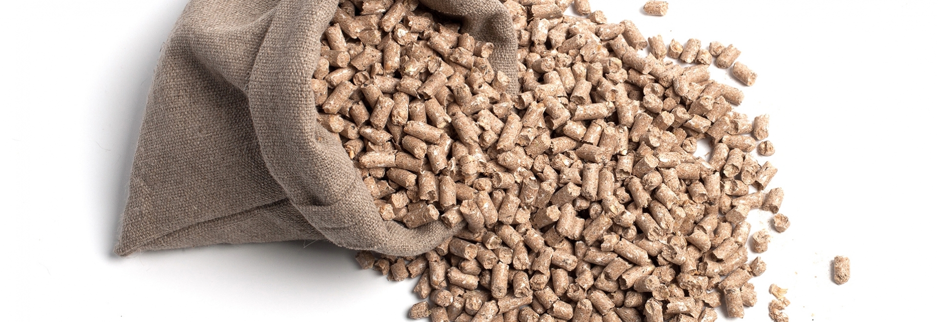 2020, um ano imprevisível. O que esperar para 2021?