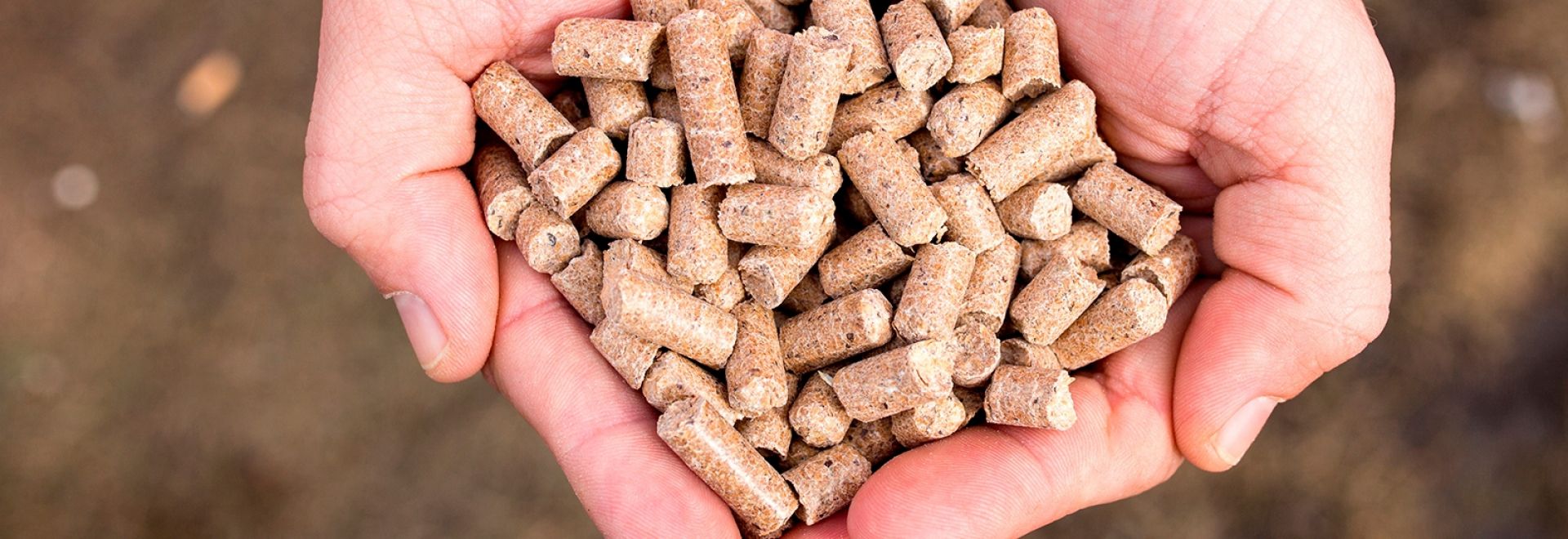 BTA apresenta novidades em desinfecção da indústria e nutrição animal na Avesui