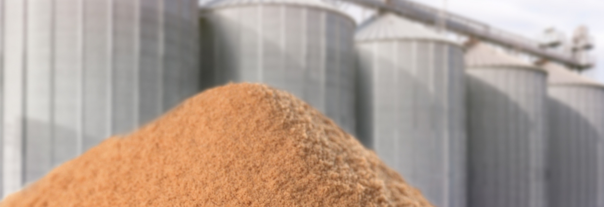 Do transporte ao processamento: como garantir a conservação de óleos e gorduras