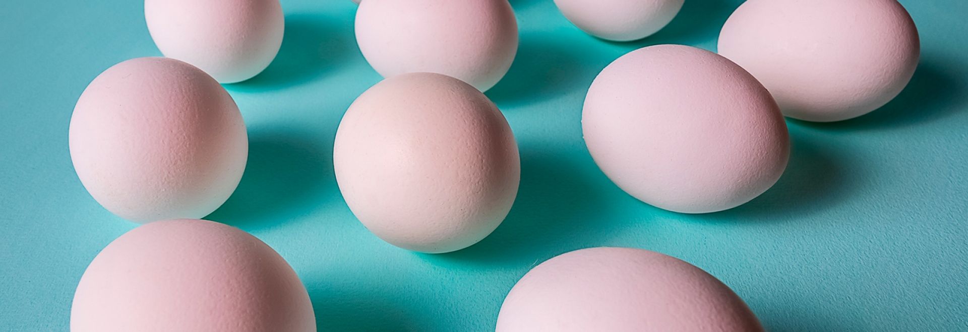 BTA apresenta seu lançamento para higienização de ovos na 60ª Festa do Ovo, em Bastos