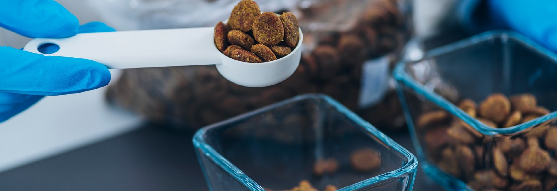 Como garantir a eficiência dos antioxidantes aplicados na nutrição animal?