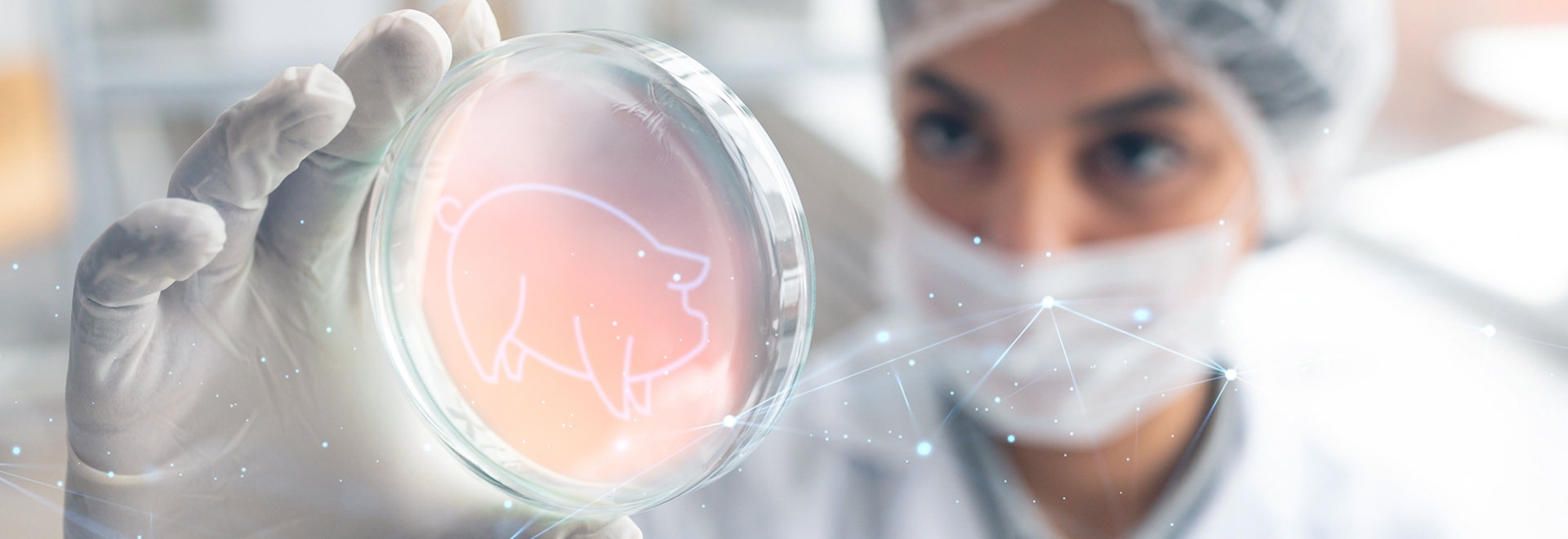 Ciência como elo importante na saúde e produção animal