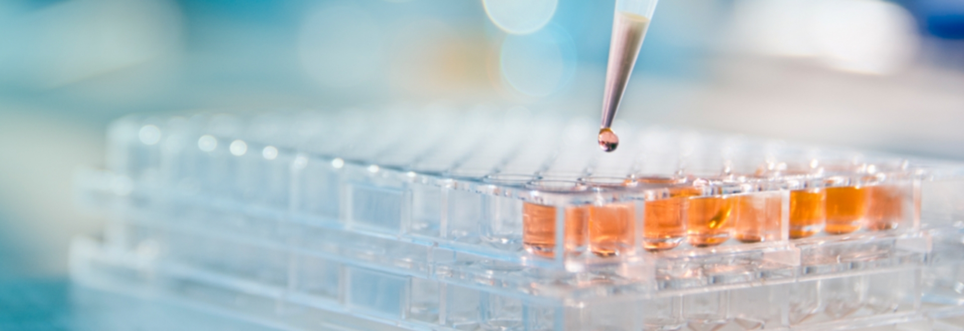A importância da química analítica e da cromatografia para a qualidade da análise das amostras na indústria química