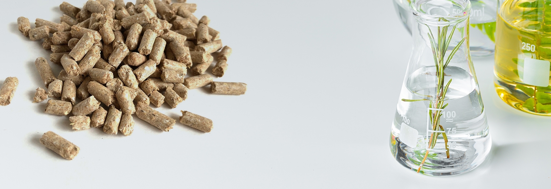 Conceito de consumo consciente na nutrição animal estimula a utilização de compostos naturais em substituição às moléculas sintéticas