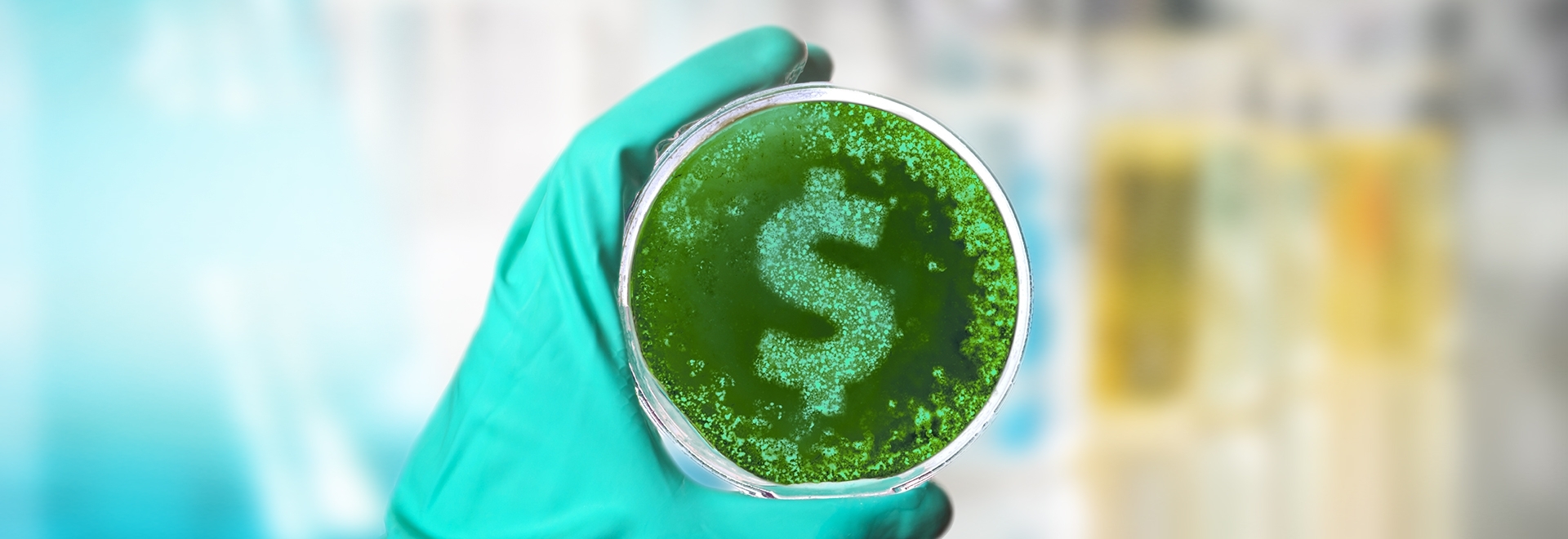 Contaminação microbiológica: um desafio que impacta na cadeia produtiva animal e no bolso do produtor