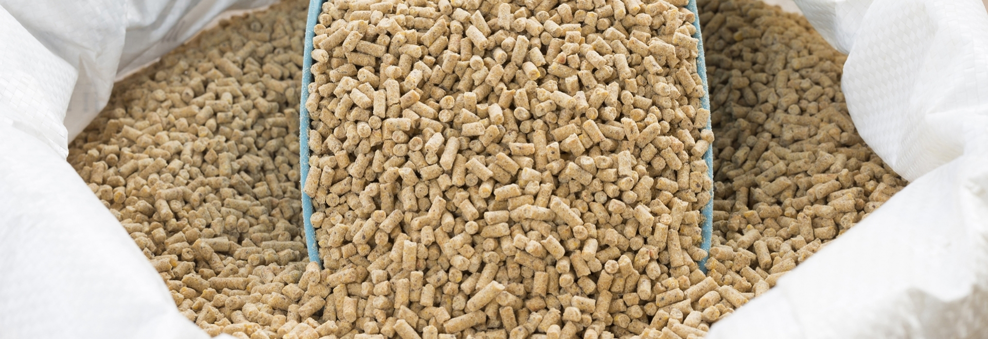 5 dicas fundamentais para um controle sanitário eficiente em fábricas de ração