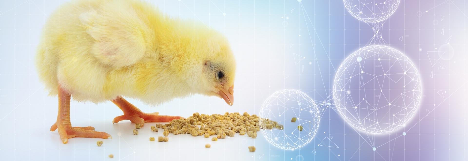 Ciência ômica como tendência de pesquisa na produção animal