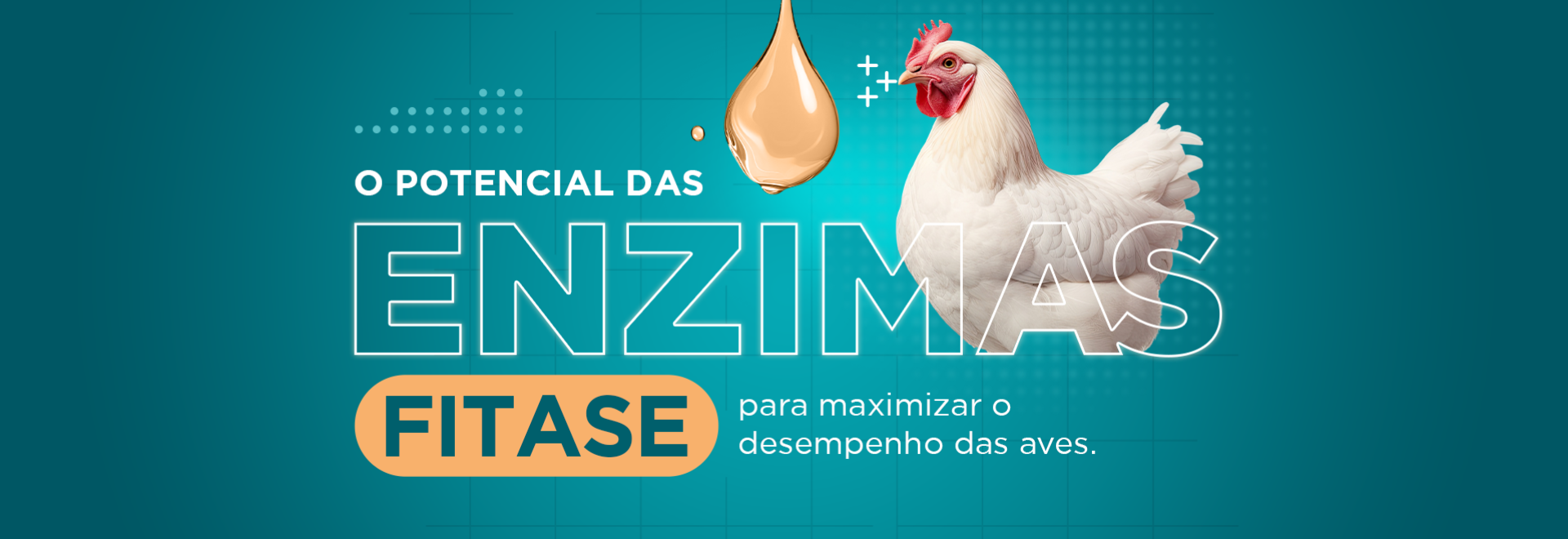 Enzima Líquida: Melhore a estabilidade da fitase na ração.