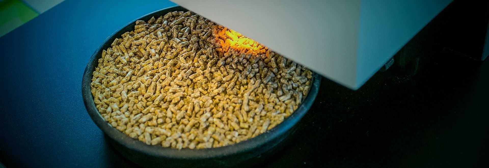 BTA realiza palestra de qualidade da ração em evento de Zootecnia da UFPR