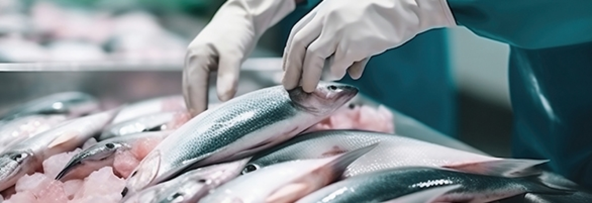 Uso de antibióticos e quimioterápicos na aquicultura