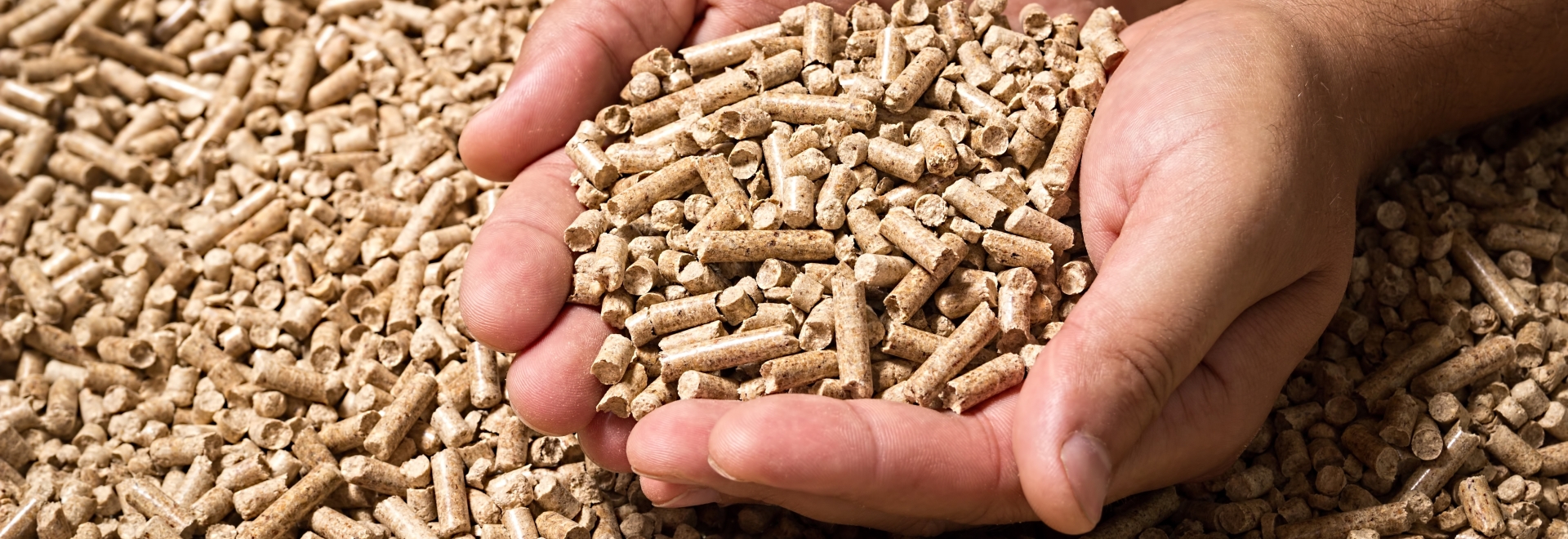 Antioxidante para nutrição animal: entenda a importância para uma ração segura