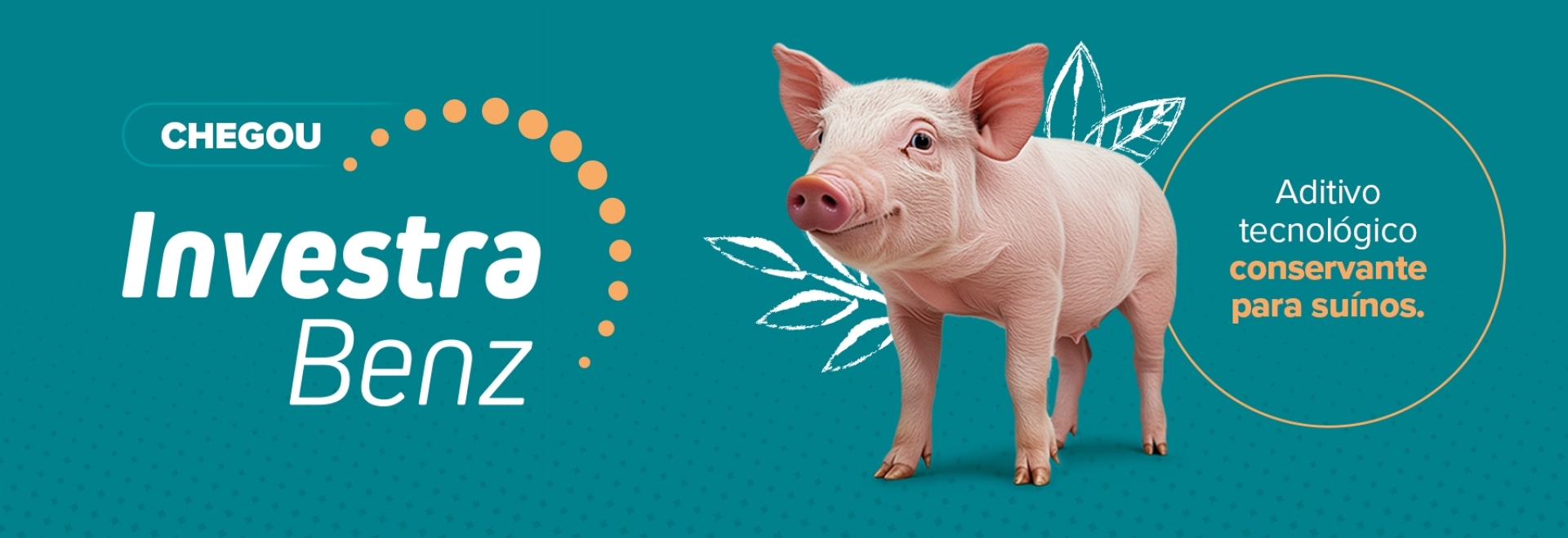 Investra Benz: novo aditivo fortalece a linha da BTA para suinocultura 