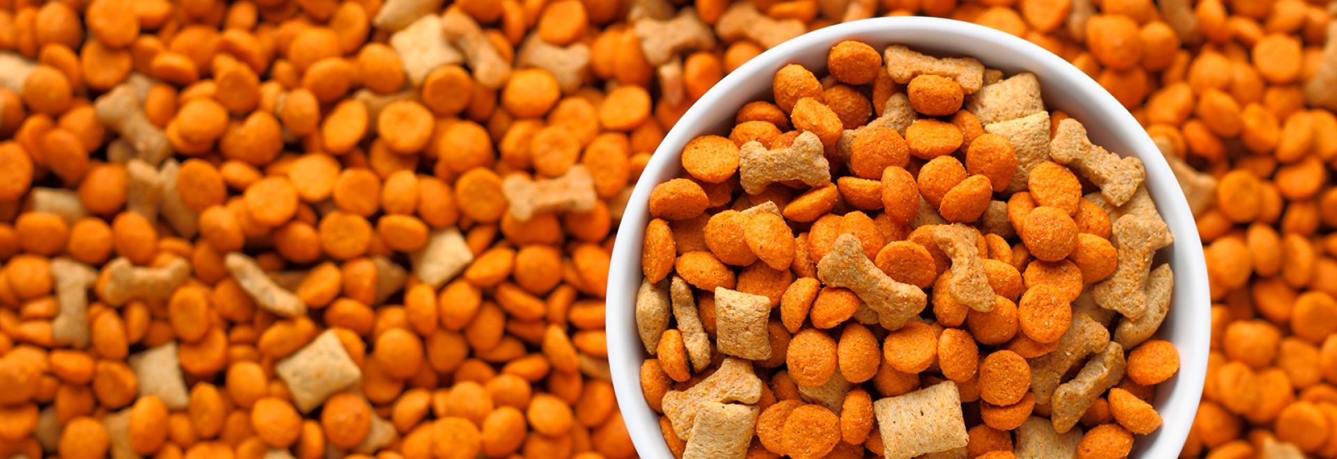 Hydro-Feed: aditivos tecnológicos trazem ganhos nutricionais para o segmento pet