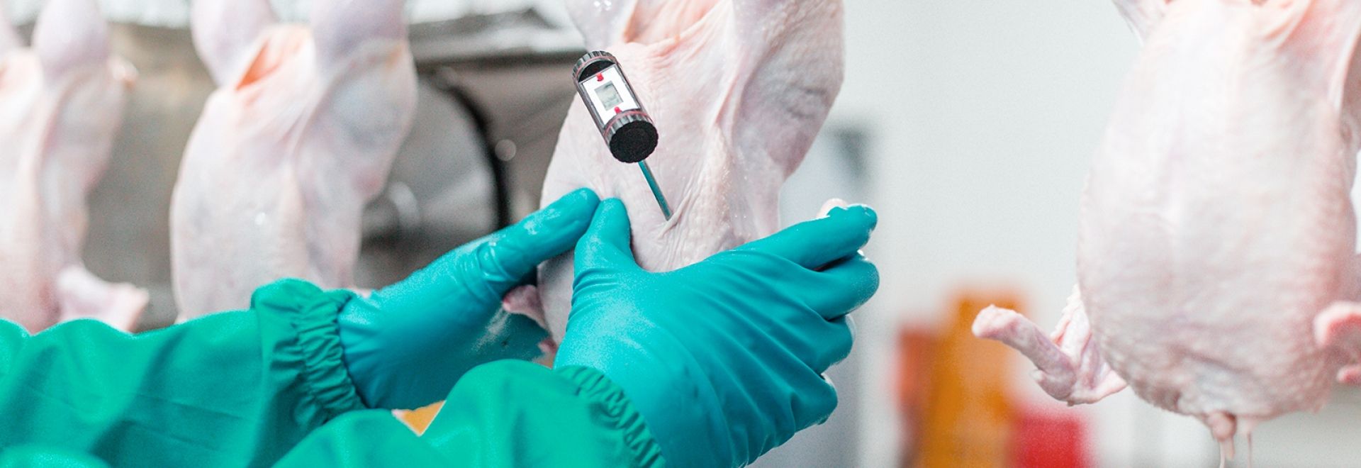 Controle Sanitário nas diferentes etapas do processamento de abate de aves é tema de palestra em Foz do Iguaçu