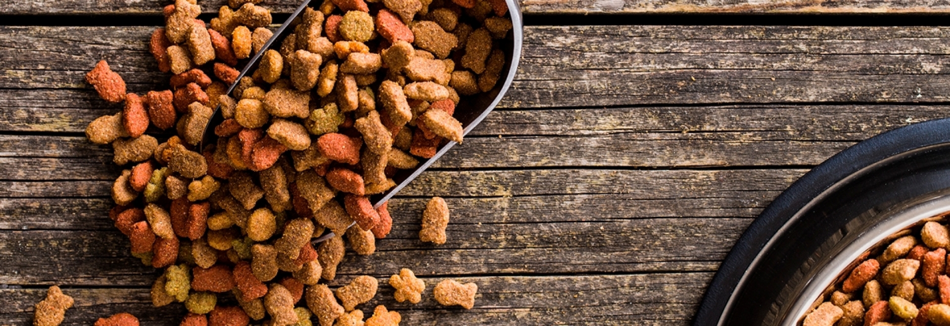 Antioxidantes: a proteção para uma ração segura