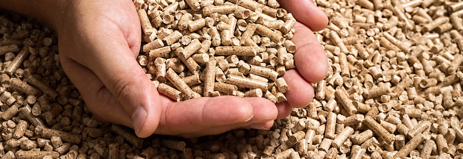 6 dicas para uma fabricação eficiente de ração para nutrição animal