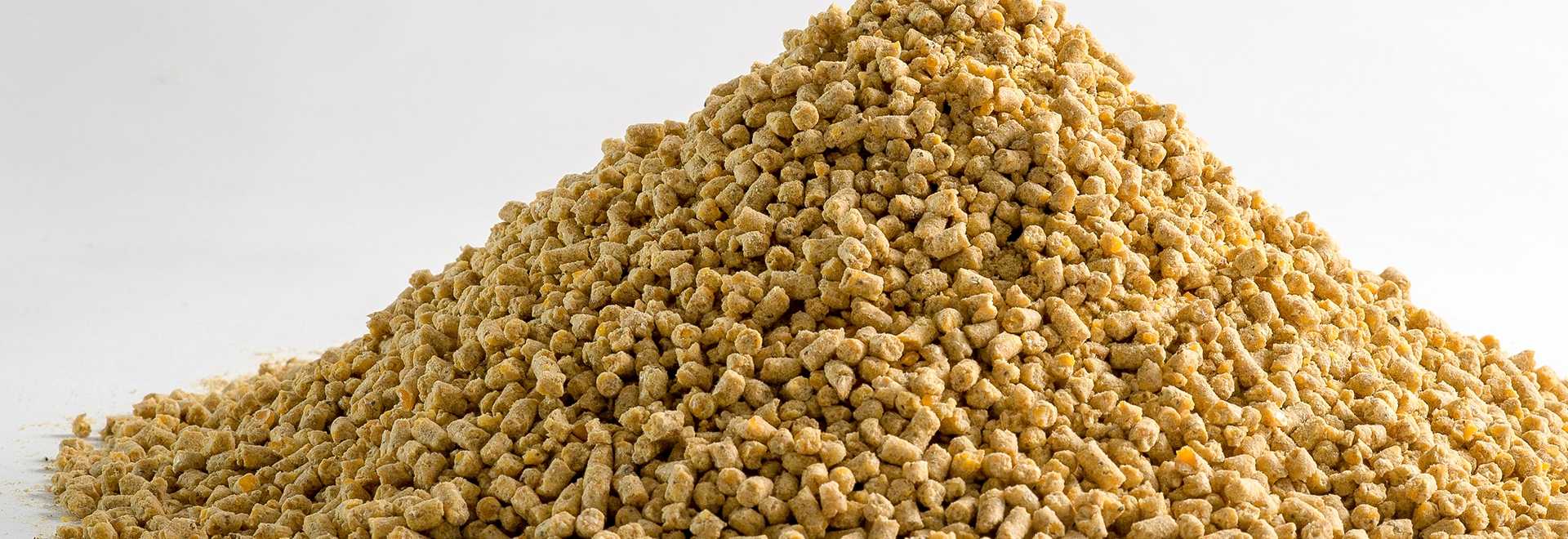 Como acontece a degradação de lipídeos nos alimentos para nutrição animal e como evitá-la