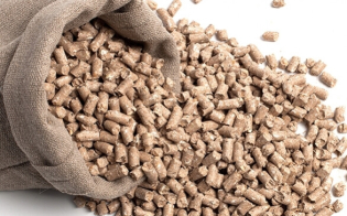 2020, um ano imprevisível. O que esperar para 2021?