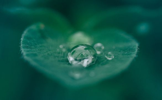 Como ter uma área de produção mais limpa e segura para evitar desperdícios