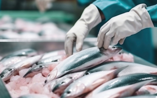 Uso de antibióticos e quimioterápicos na aquicultura