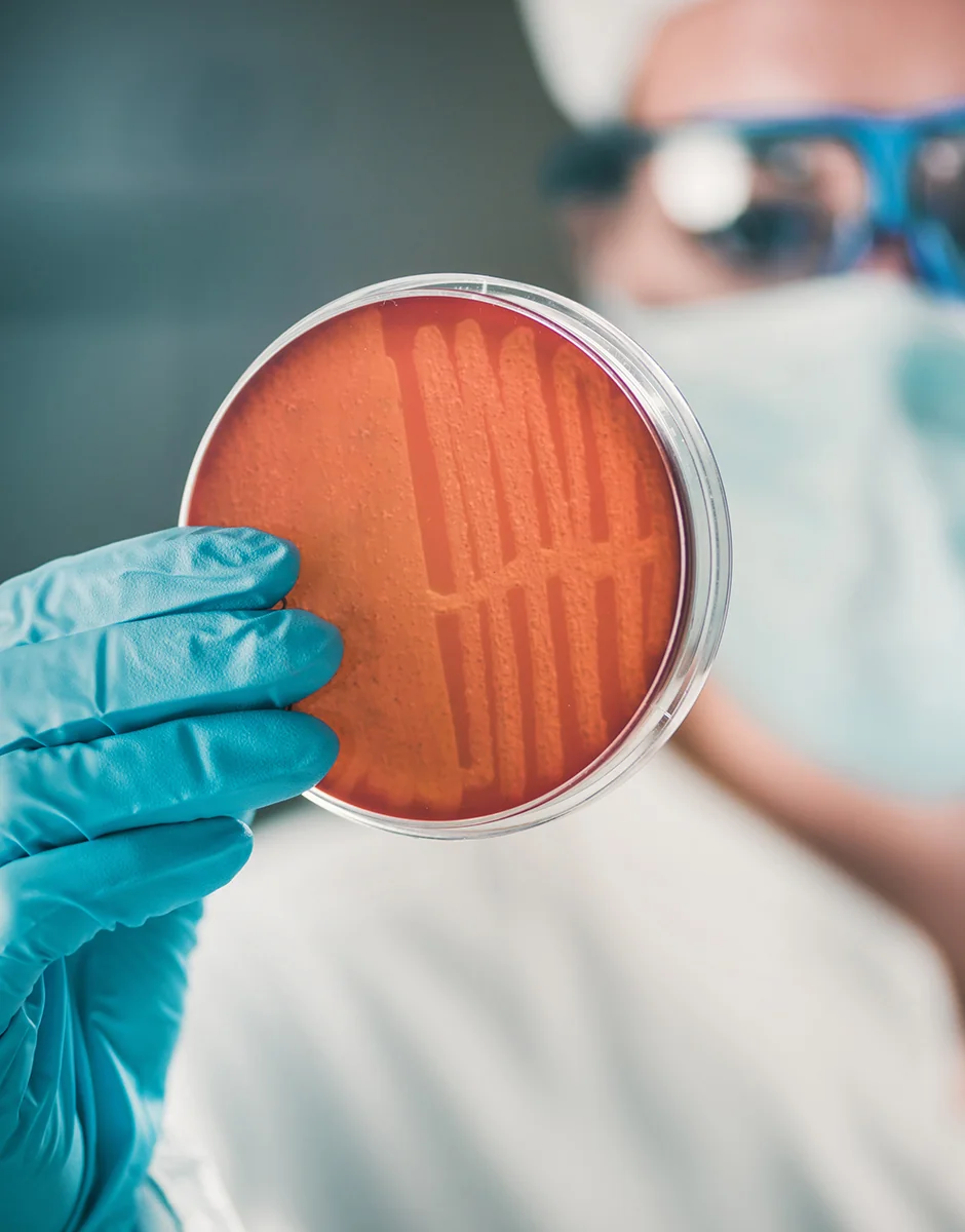 Complementamos nosso Centro de Inovação com uma fazenda experimental, com áreas dedicadas à avicultura, suinocultura, aquicultura e outras.