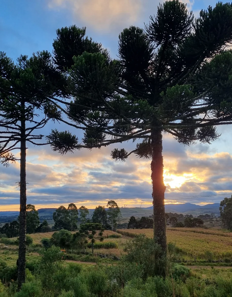Sustentabilidade e Responsabilidade Social