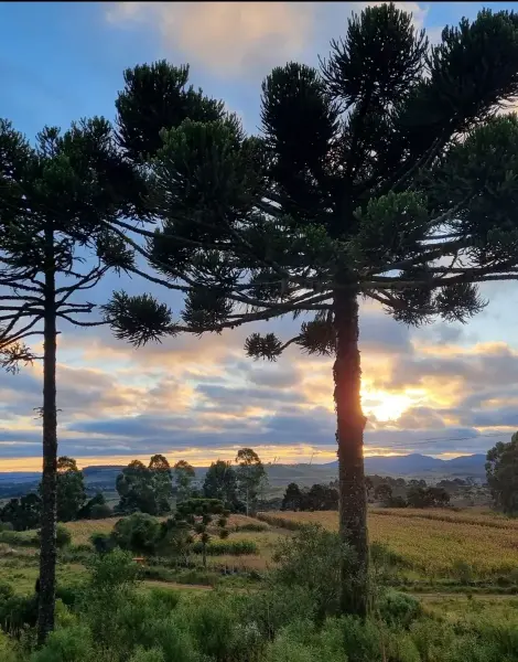 Sustainability and Social Responsibility